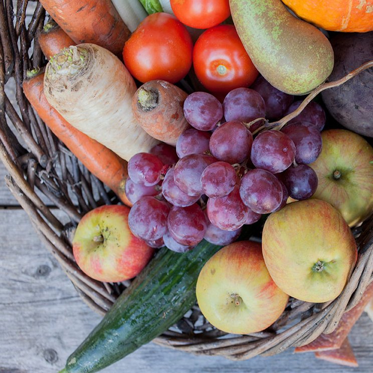 Büro 20 GemüseZusammenstellungen Gemüse Produkte Hof Dannwisch