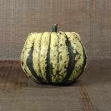 Kürbis Sweet Dumpling vom Hof