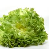 Salat Endivie vom Hof