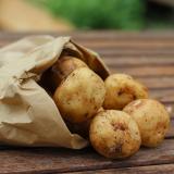 Frühkartoffeln "Annabelle" vom Hof