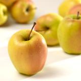 Äpfel Glockenapfel aus Sommerland