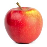 Äpfel Juliet