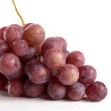 Weintrauben pink kernlos