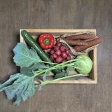 Knabbergemüsekiste XS