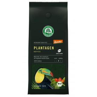 Plantagen Kaffee - Bohne -