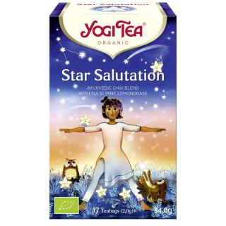 Yogi Tea Star Salutation