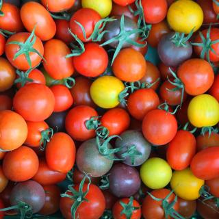 Cherrytomaten Mix vom Hof