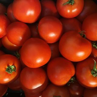 Tomaten-Angebotskiste 5kg vom Hof