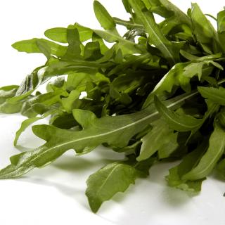 Rucola vom Hof