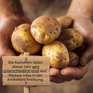 Kartoffeln Linda vom Hof