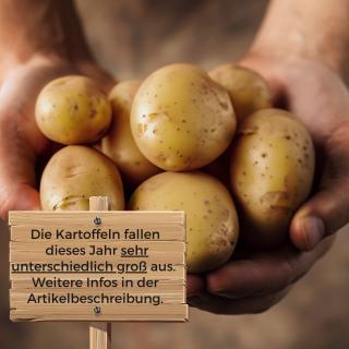 Kartoffeln Santera vom Hof