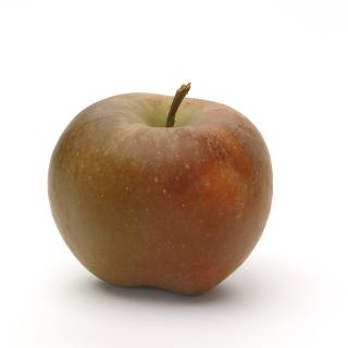 Äpfel Boskop aus Sommerland