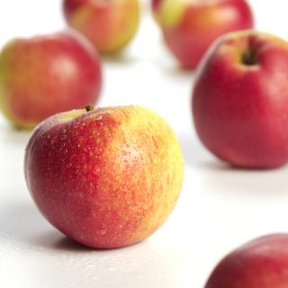 Äpfel Topaz aus Sommerland