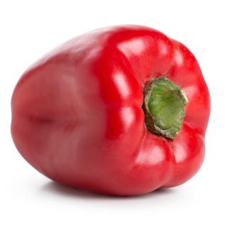 Paprika rot