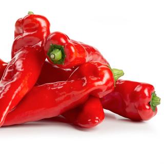 Paprika rot spitz
