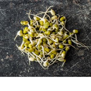 Sprossen Gourmet Mischung