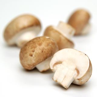 Champignons (Steinchampignon)