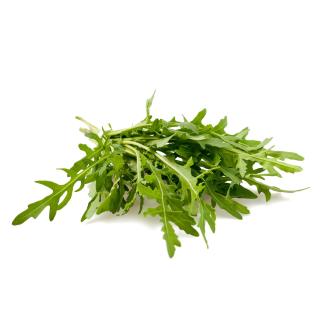 Rucola