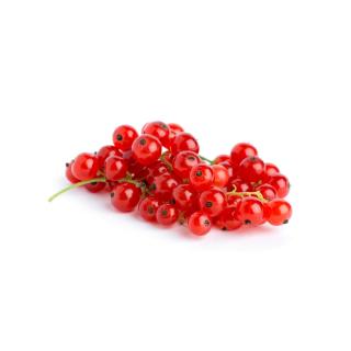 Johannisbeere rot