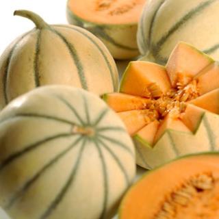 Honigmelone Charentais