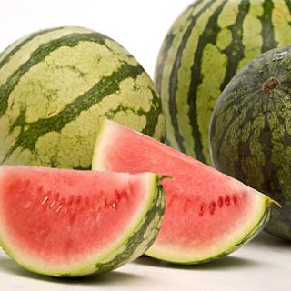 Wassermelone Mini