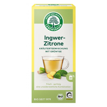 Grüntee Ingwer-Zitrone TB