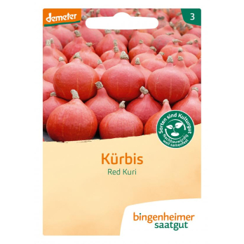 Kürbis Red Kuri (Hokkaido)