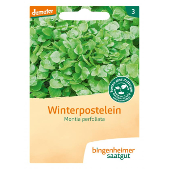 Winterpostelein