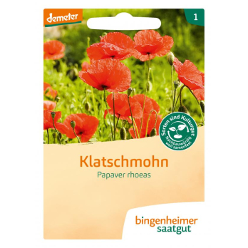 Klatschmohn