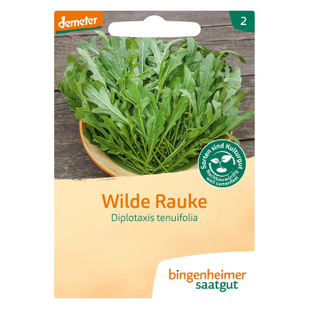 Rauke "Wilde Rauke"