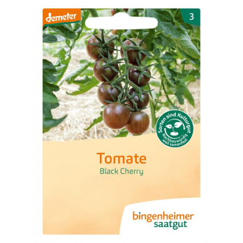 Tomate Black Cherry