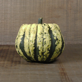 Kürbis Sweet Dumpling vom Hof