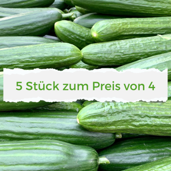 Gurken Angebotskiste 5 Stück