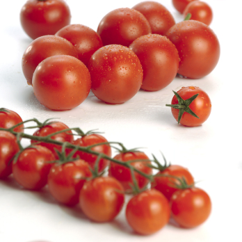Cocktailstrauchtomaten