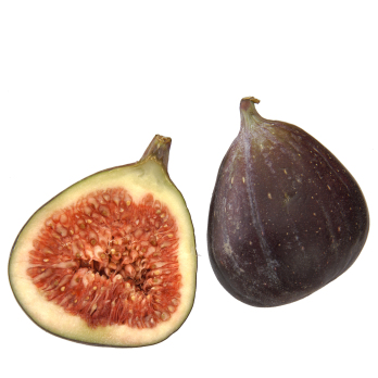 Feigen frisch
