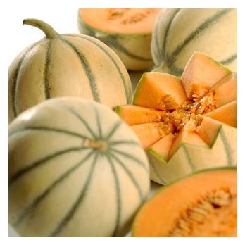 Honigmelone Charentais