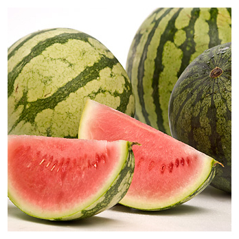 Wassermelone Mini