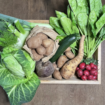 Regionalgemüsekiste M