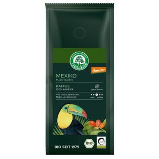 Mexiko Plantagen Kaffee - Bohne -