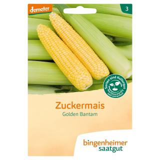 Zuckermais Golden Bantam