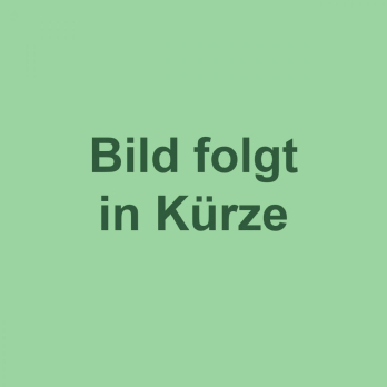 Linsen Salat -vegan-