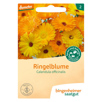 Ringelblume Calendula