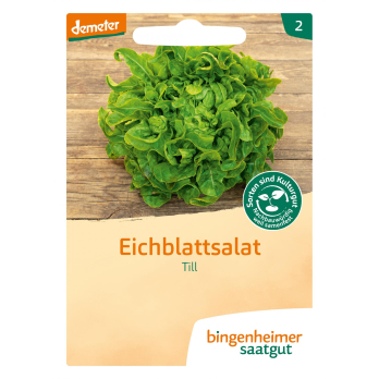 Eichblattsalat Till