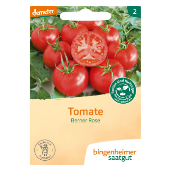 Tomate Berner Rose
