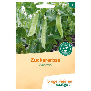 Zuckererbse Ambrosia