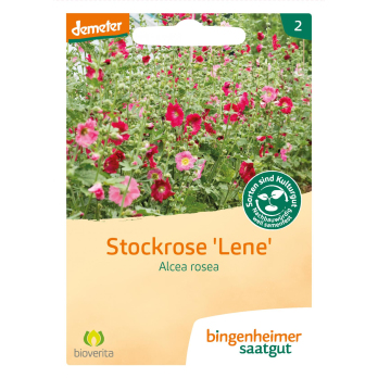 Stockrose Lene