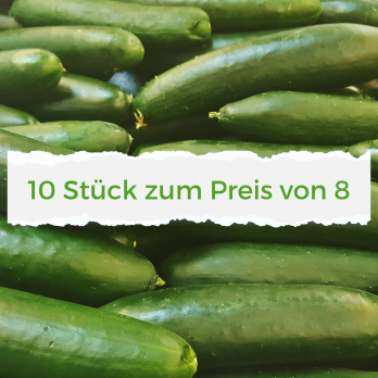 Mini Gurken Angebotskiste 10 Stück