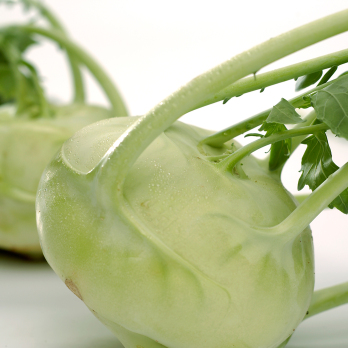 Kohlrabi
