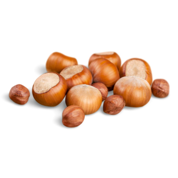 Haselnüsse